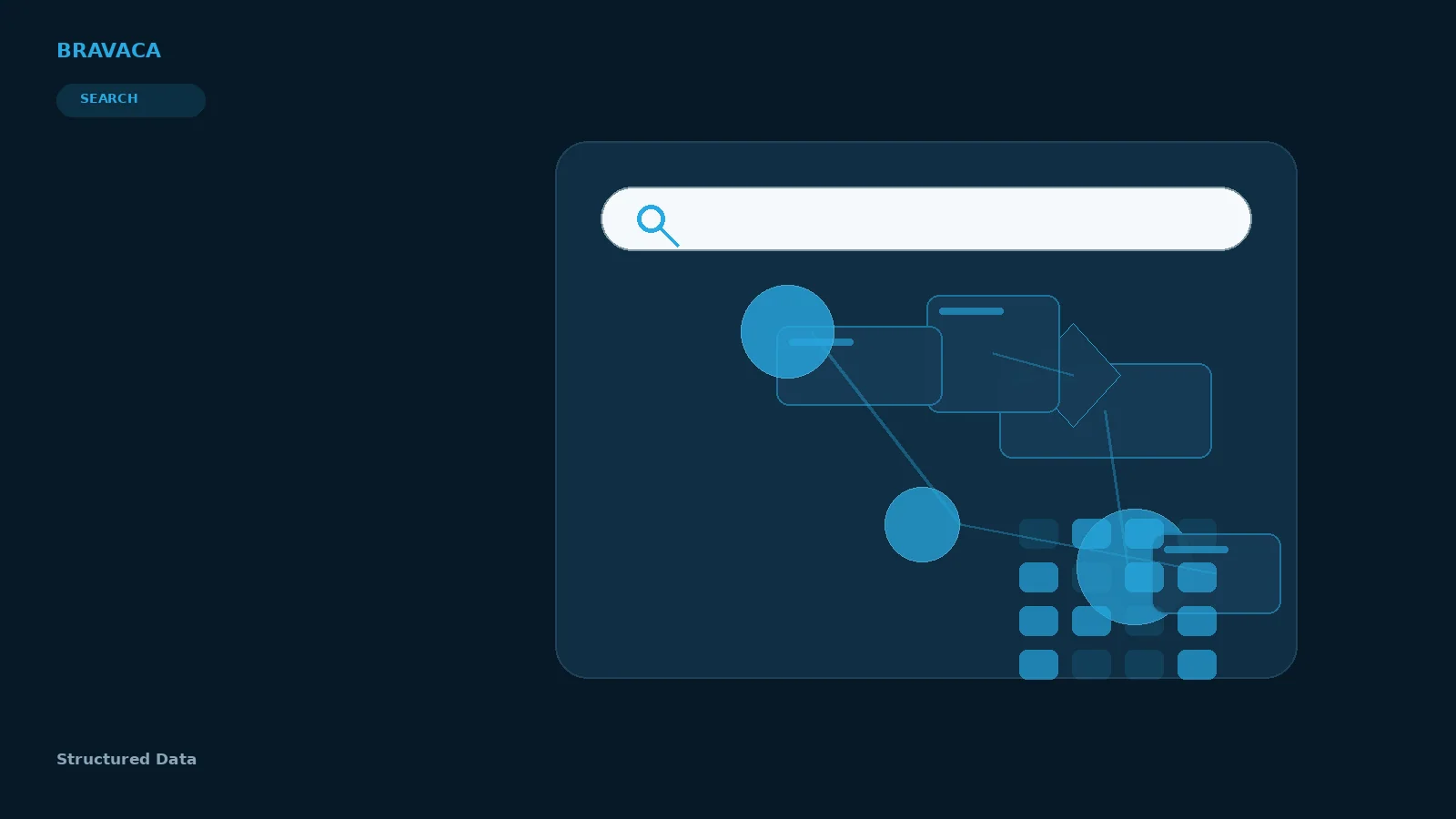 Bravaca visual explaining structured data through search, systems, workflow and commercial outcomes.
